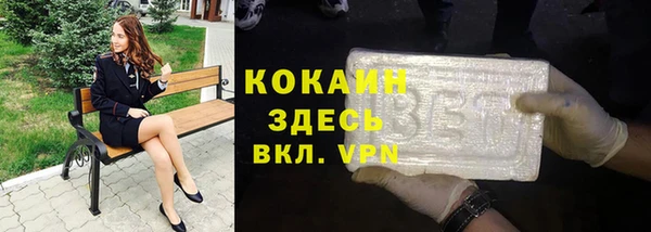 бошки Алексин